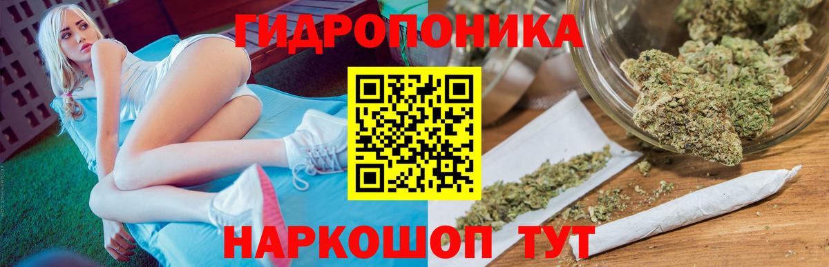 МАРИХУАНА LSD WEED  МАРИХУАНА гибрид  Вход с VPN  Кириши  Бошки марихуана гибрид 